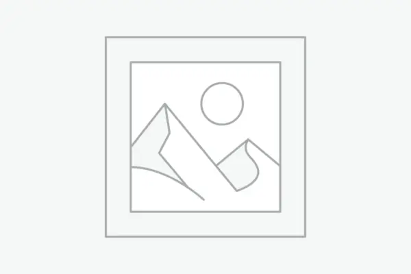 Marcador de posició